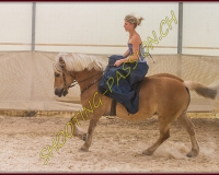 1AMAZONE- 0291